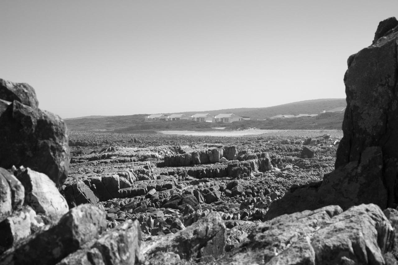 Gouritzmond Gourikwa Nature Reserve מראה חיצוני תמונה