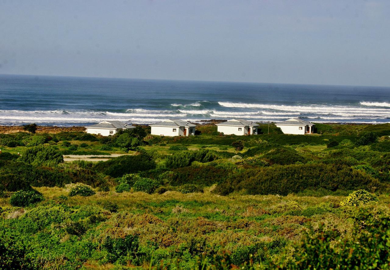 Gouritzmond Gourikwa Nature Reserve מראה חיצוני תמונה